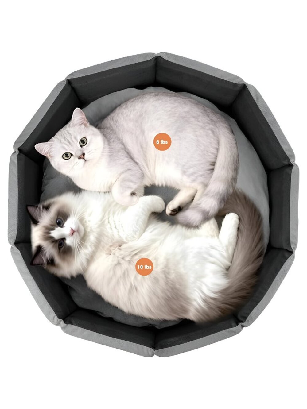 Large Cat Bed, Washable 20 inch Round Kitten Bed for 2 Cats Indoor